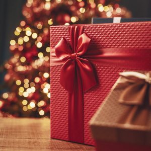 ČISTO (NE)NAVADNO DARILO 2.12.2023